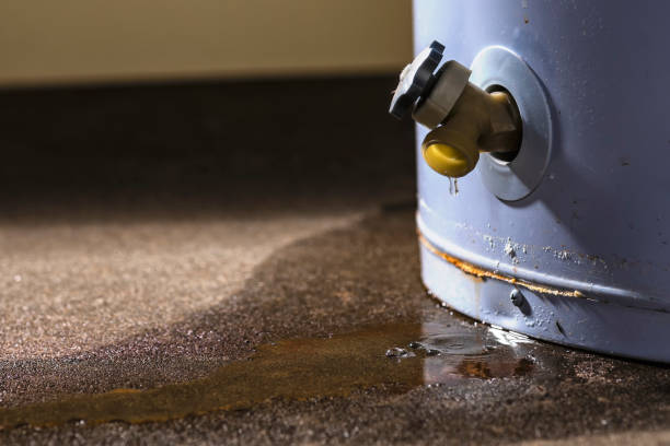 Best Carpet and Upholstery Water Damage Restoration in Burwell, NE